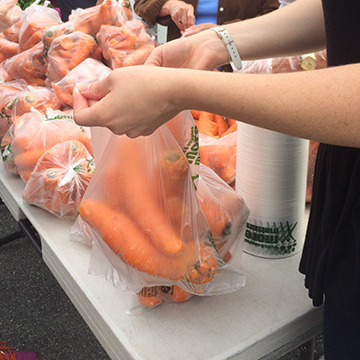 A person bagging fresh carrots for the Mobile Pantry distribution