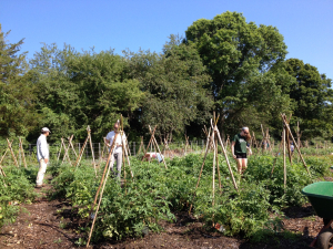 The Giving Garden at Coogan Farm