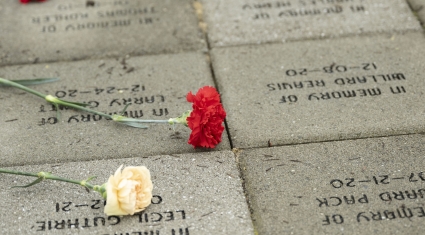 Carnations laid at the memorial stones